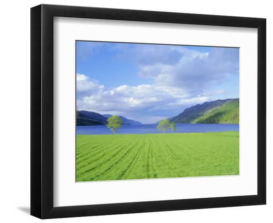 Premium Photographic Print, , large