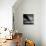 I Want to Be Near You-Craig Roberts-Mounted Photographic Print displayed on a wall