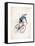 I Want to Ride My Bicycle-Balazs Solti-Framed Stretched Canvas