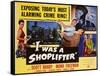 I Was a Shoplifter, 1950-null-Framed Stretched Canvas