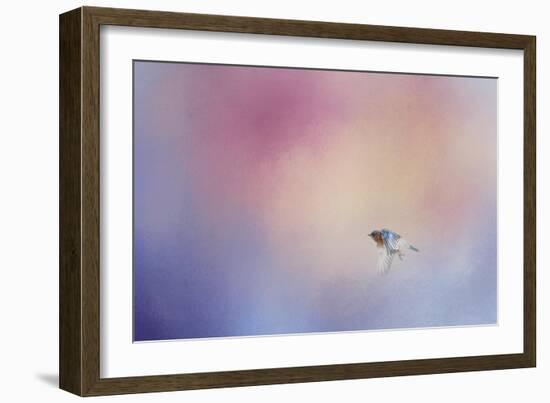 I Wish I Could Fly - Bluebird 1-Jai Johnson-Framed Giclee Print