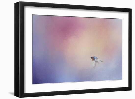 I Wish I Could Fly - Bluebird 1-Jai Johnson-Framed Giclee Print