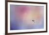 I Wish I Could Fly - Bluebird 1-Jai Johnson-Framed Giclee Print