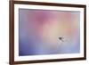 I Wish I Could Fly - Bluebird 1-Jai Johnson-Framed Giclee Print