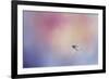 I Wish I Could Fly - Bluebird 1-Jai Johnson-Framed Giclee Print