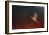 I Wish I Could Fly - Cardinal 1-Jai Johnson-Framed Giclee Print