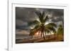 I111-Robert Kaler-Framed Photographic Print