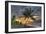 I130-Robert Kaler-Framed Photographic Print