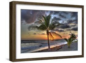 I133-Robert Kaler-Framed Photographic Print