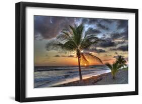 I133-Robert Kaler-Framed Photographic Print