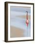 I-Anna Cseresnjes-Framed Photographic Print