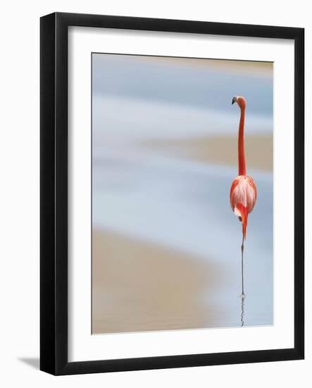 I-Anna Cseresnjes-Framed Photographic Print