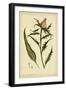 Iacea, Pl. CLIII-Phillip Miller-Framed Art Print