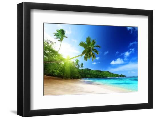 Photographic Print, , large