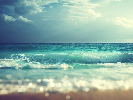 Premium Photographic Print, , large