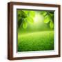 Brown Frame