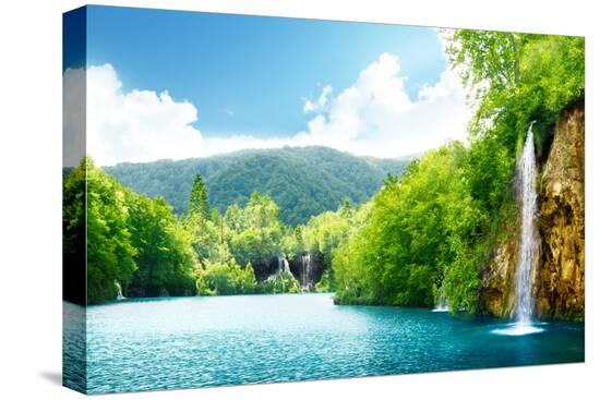 Stretched Canvas Print, , large