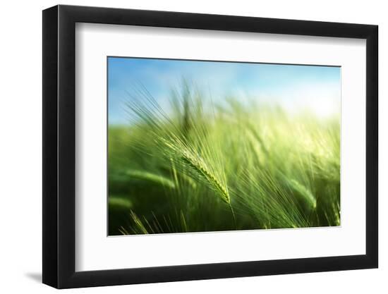 Premium Photographic Print, , large