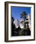 Ialien, Sv¼dtirol, Dolomiten, Langkofelgruppe, AuvŸen, Berglandschaft, Berge-Thonig-Framed Photographic Print