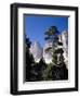 Ialien, Sv¼dtirol, Dolomiten, Langkofelgruppe, AuvŸen, Berglandschaft, Berge-Thonig-Framed Photographic Print