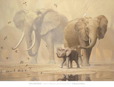 African Elephants and Namaqua Doves