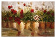 Cape Cod Window Box-Ian Cook-Art Print