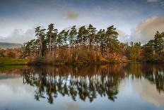 Tarn Hows at sunrise, Lake District National Park, UNESCO World Heritage Site, Cumbria-Ian Egner-Photographic Print