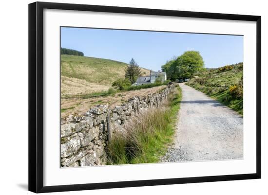 Photographic Print, , large