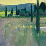 Evening at the Vineyards, Tuscany-Ian Roberts-Art Print