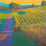Dusk at Contevoir-Ian Roberts-Stretched Canvas