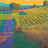 Dusk at Contevoir-Ian Roberts-Framed Stretched Canvas