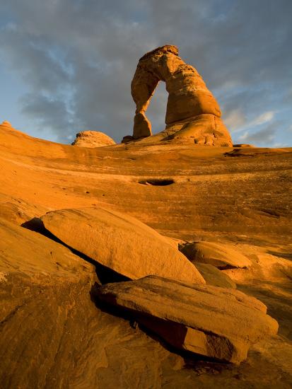 Premium Photographic Print, , large