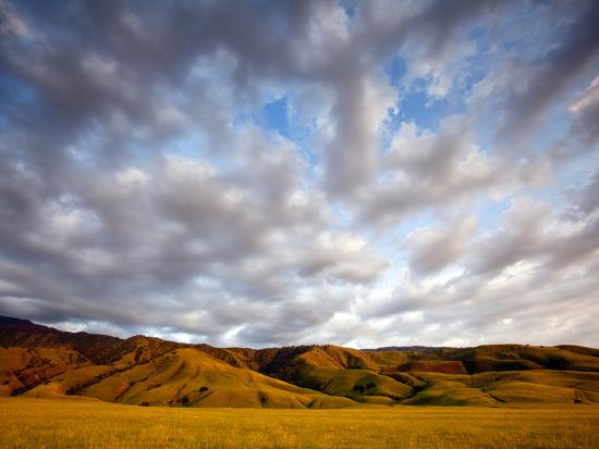 Premium Photographic Print, , large