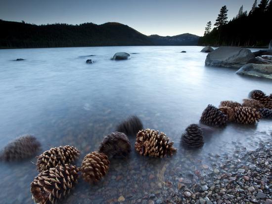 Photographic Print, , large
