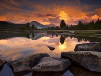 Yosemite National Park, California: Sunset Light on Tuolumne River and Meadows-Ian Shive-Photographic Print