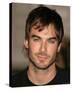 Ian Somerhalder-null-Stretched Canvas