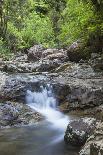 Waiau Falls on 309 Road, Coromandel Peninsula, Waikato, North Island, New Zealand, Pacific-Ian-Photographic Print
