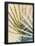 Essential Black