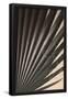 Essential Black