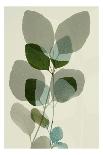 Green Leaves 7-Ian Winstanley-Art Print