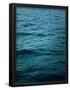 Essential Black