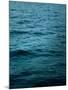 Wood Mount