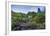 Iao Needle and Grass Shack, Iao Valley State Park, Maui, Hawaii, Usa-Roddy Scheer-Framed Photographic Print