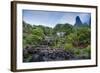 Iao Needle and Grass Shack, Iao Valley State Park, Maui, Hawaii, Usa-Roddy Scheer-Framed Photographic Print