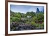Iao Needle and Grass Shack, Iao Valley State Park, Maui, Hawaii, Usa-Roddy Scheer-Framed Photographic Print