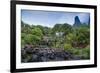 Iao Needle and Grass Shack, Iao Valley State Park, Maui, Hawaii, Usa-Roddy Scheer-Framed Photographic Print