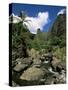 Iao Needle, Iao Valley, Island of Maui, Hawaii, Hawaiian Islands, USA-null-Stretched Canvas