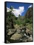 Iao Needle, Iao Valley, Island of Maui, Hawaii, Hawaiian Islands, USA-null-Framed Stretched Canvas