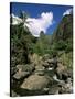 Iao Needle, Iao Valley, Island of Maui, Hawaii, Hawaiian Islands, USA-null-Stretched Canvas