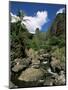 Iao Needle, Iao Valley, Island of Maui, Hawaii, Hawaiian Islands, USA-null-Mounted Photographic Print